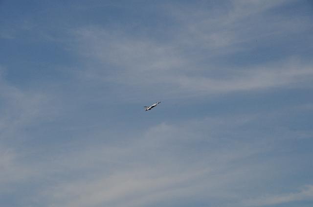 DSC_1938.JPG