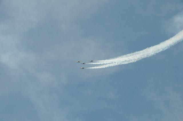 DSC_1950.JPG