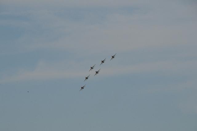 DSC_1972.JPG