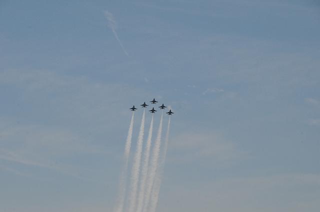 DSC_1986.JPG