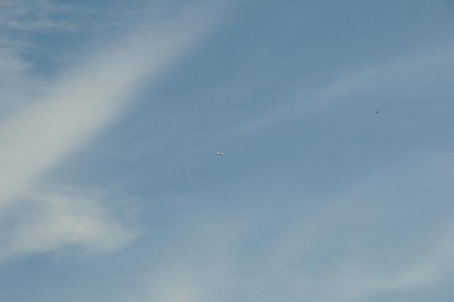 DSC_2029.JPG