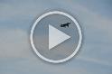 Harrier Landing