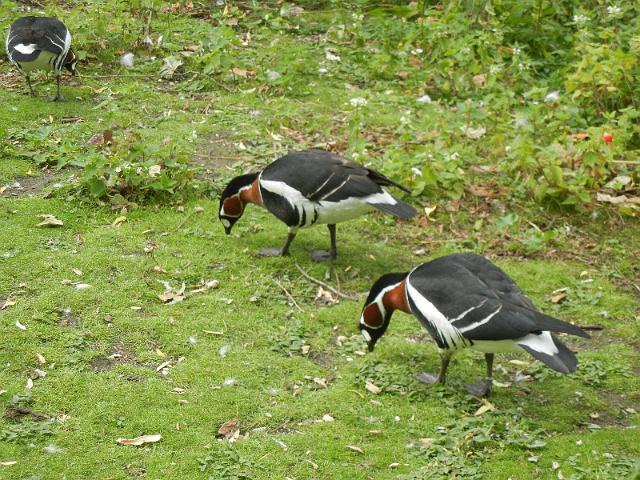 DSCN5038.JPG