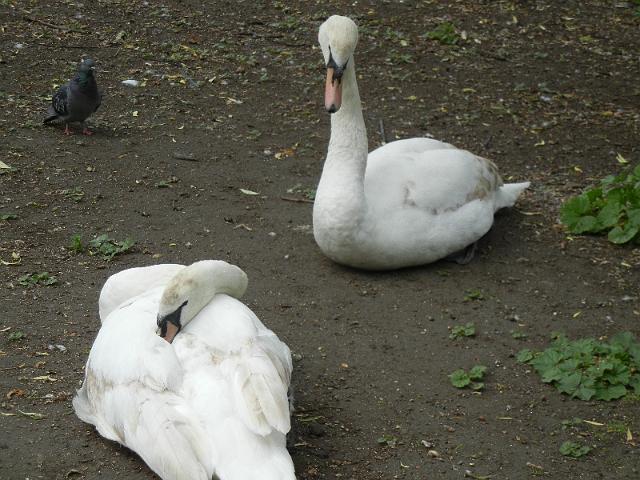 DSCN5039.JPG