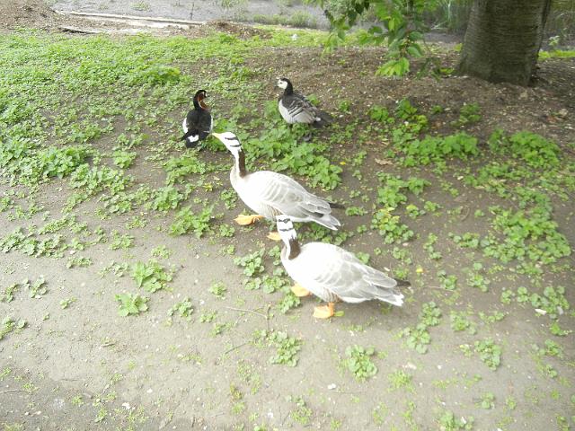 DSCN5042.JPG
