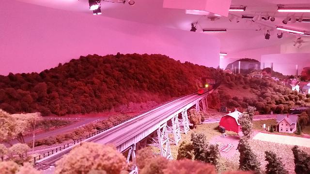 20160102_125931.jpg
