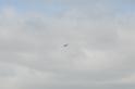 DJK_5812