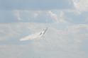 DJK_7420