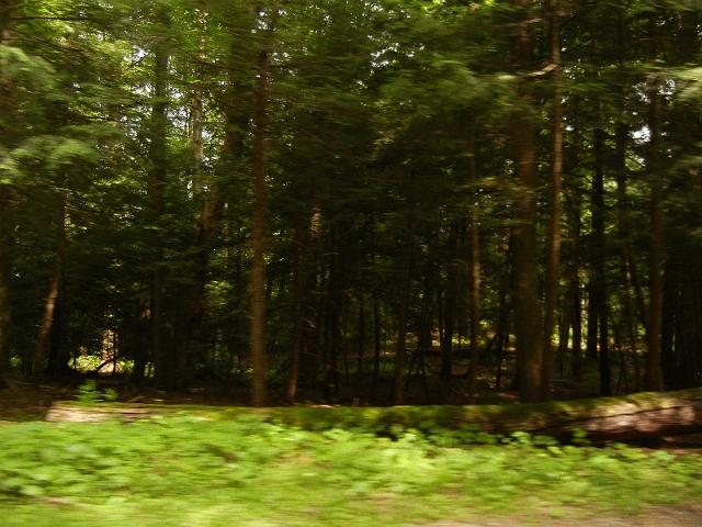 DSCN2623.JPG