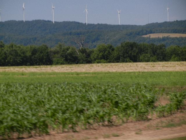 DSCN2651.JPG
