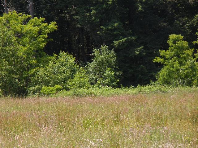 DSCN2667.JPG