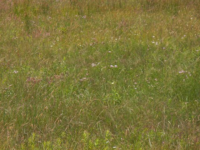 DSCN2668.JPG