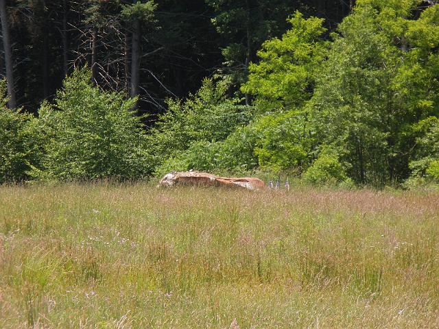 DSCN2669.JPG