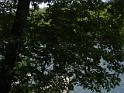 DSCN2559