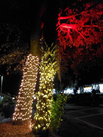 20201120_184307.jpg