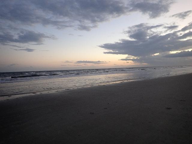 PB150125.JPG