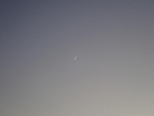 PB170188.JPG