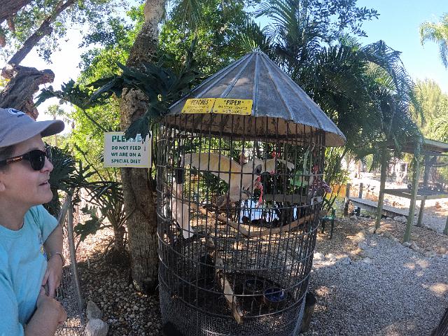 GOPR0133.JPG