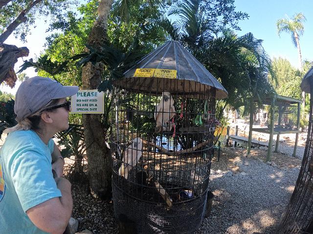 GOPR0135.JPG