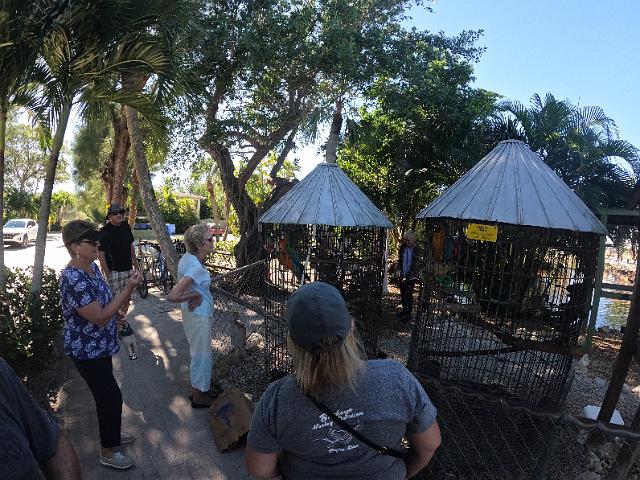 GOPR0138.JPG