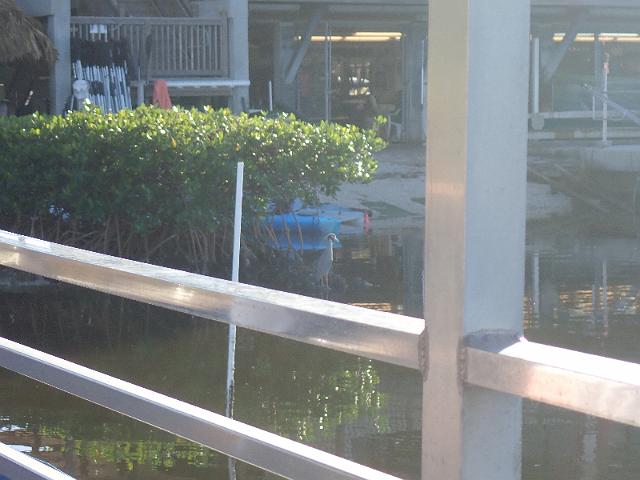 PC020115.JPG