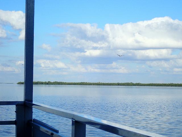 PC020117.JPG