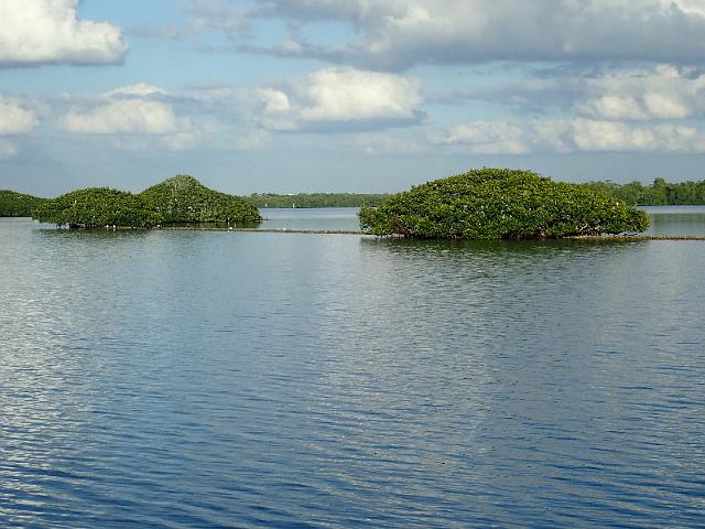 PC020134.JPG