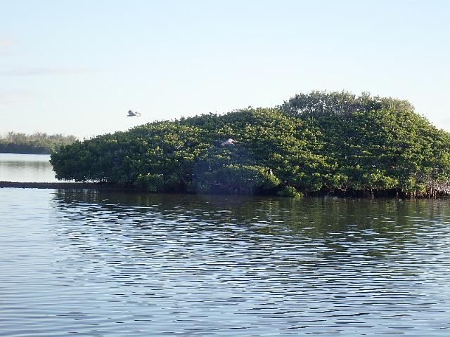 PC020141.JPG