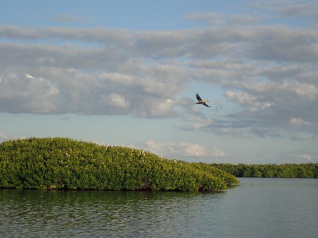 PC020143.JPG