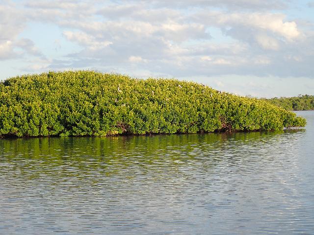 PC020144.JPG