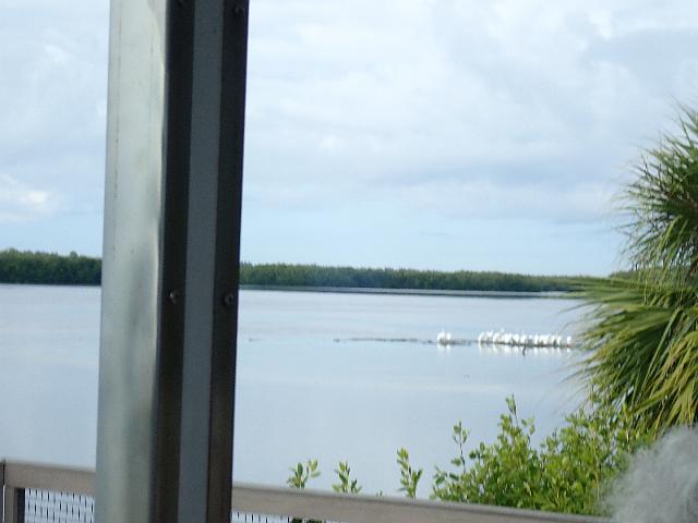 PC020177.JPG
