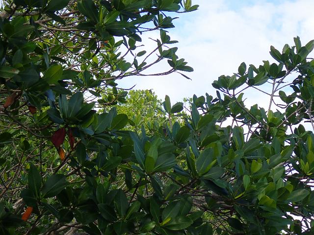 PC020189.JPG