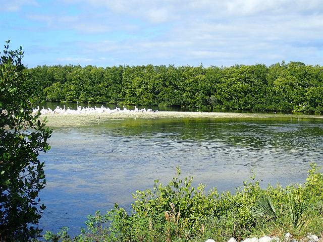 PC020201.JPG