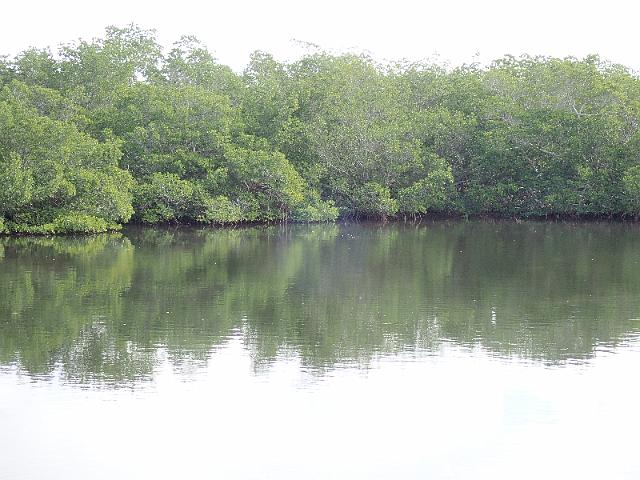 PC020208.JPG