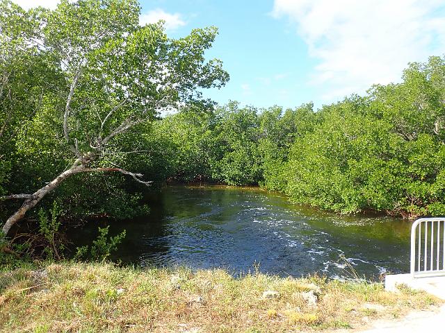 PC020211.JPG