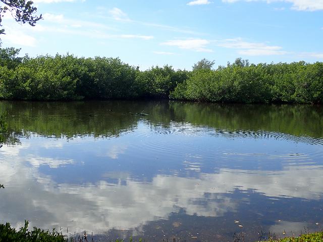 PC020214.JPG
