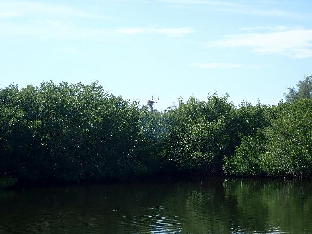 PC020215.JPG