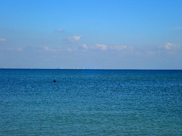PC020235.JPG
