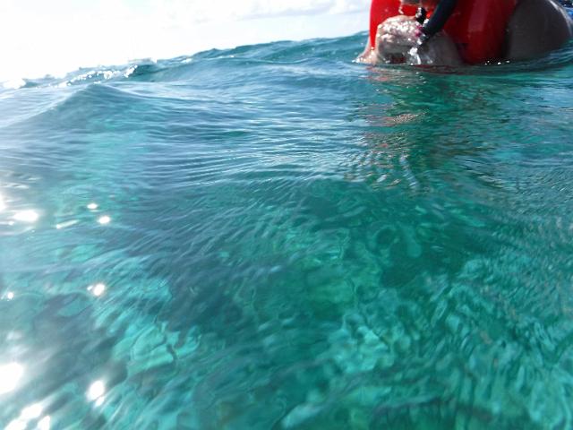 DSCF1194.JPG