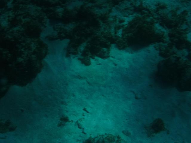 DSCF1200.JPG