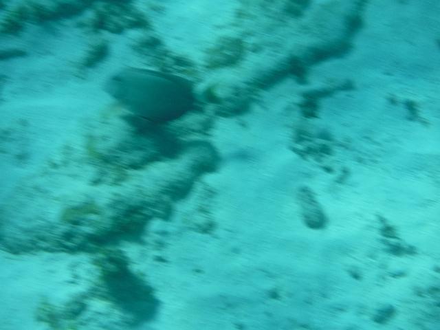 DSCF1203.JPG