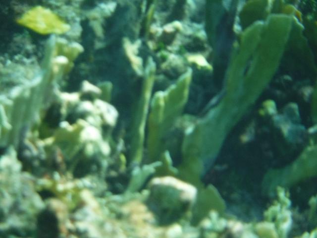 DSCF1206.JPG