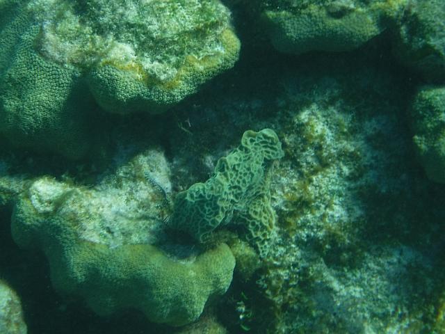 DSCF1207.JPG