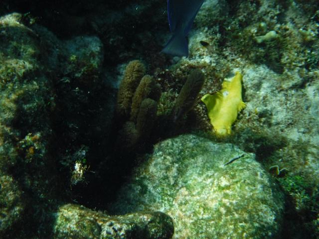 DSCF1215.JPG