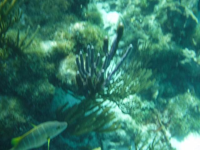 DSCF1216.JPG