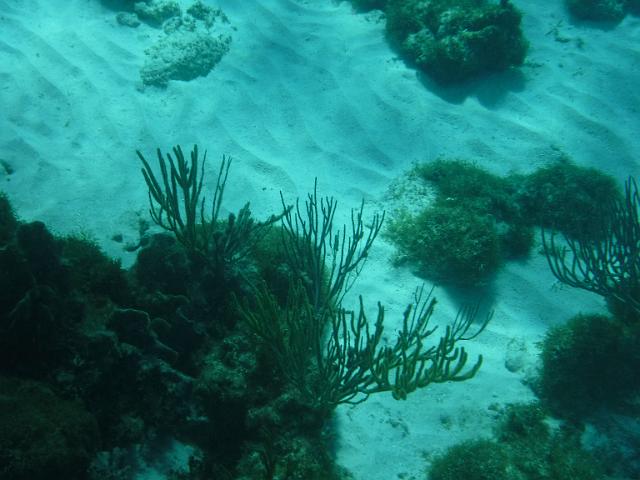 DSCF1217.JPG