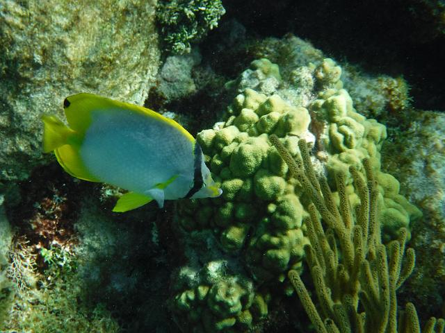 DSCF1219.JPG