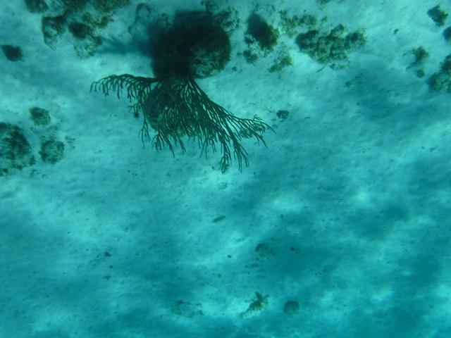 DSCF1228.JPG