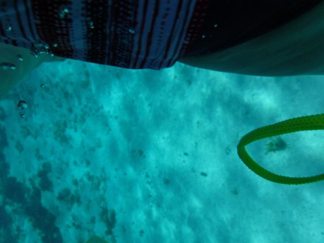 DSCF1234.JPG