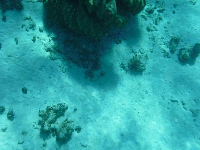 DSCF1240.JPG